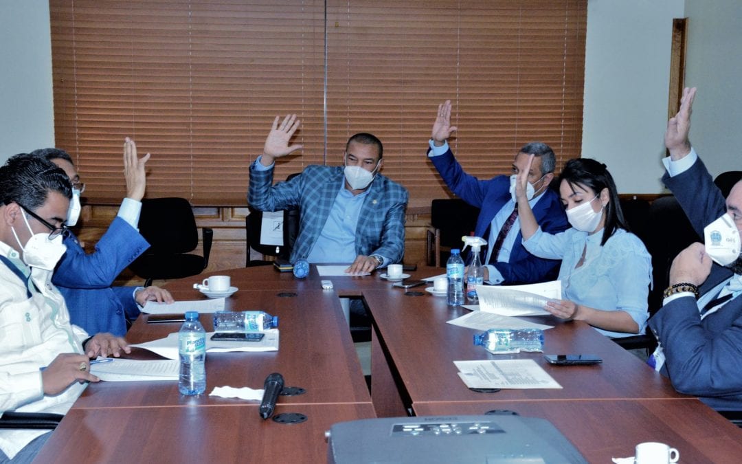 La Comisión Especial del Senado designada para el estudio del proyecto que crea y agrega viceministerios aprueba rendir informe favorable a la iniciativa