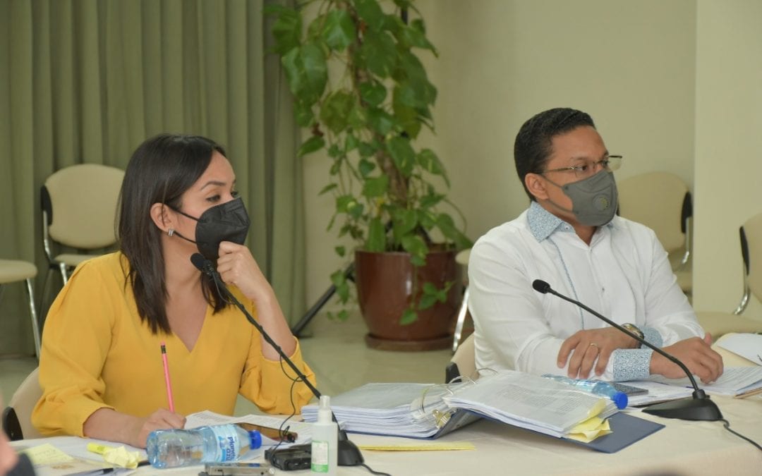Concluyen lectura del proyecto de Ley Orgánica de Ordenamiento Territorial