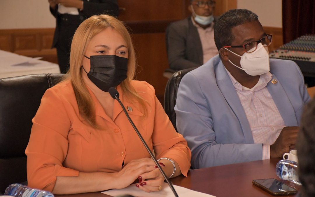 Comisión Bicameral de seguridad social celebrará vistas públicas el 15 de julio