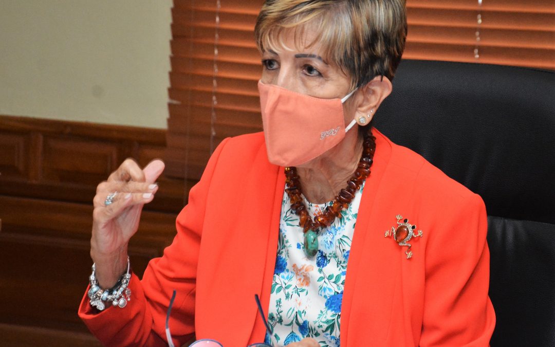 Comisión de Turismo del Senado continua el estudio Proyecto de Ley que regula el turismo náutico