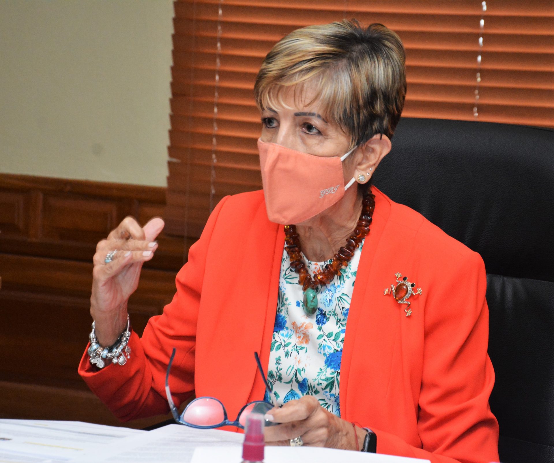 COMISION DE TURISMO SENADO DE LA REP.DOM