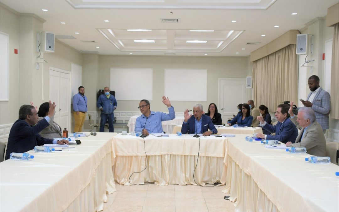 Comisión especial del Senado dispone cronograma de trabajo para estudio proyectos modificación de leyes de partidos y del régimen electoral