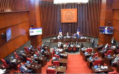 El Senado aprueba en segunda lectura Proyecto Ley de Régimen Electoral