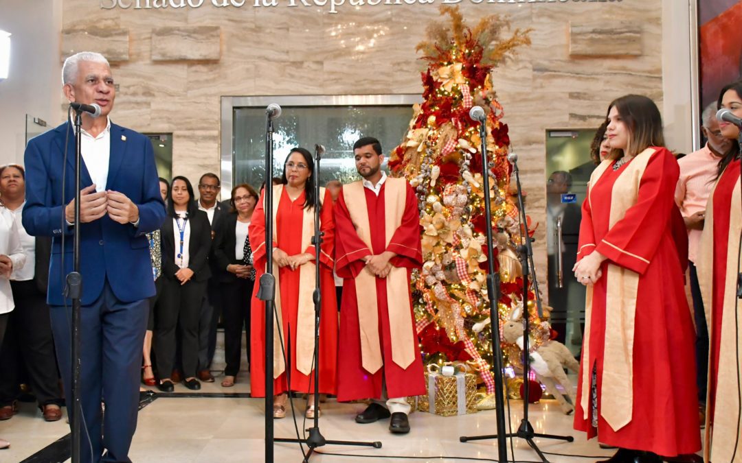 Historial de Noticias 12 Senado da bienvenida a la Navidad con encendido del Árbol