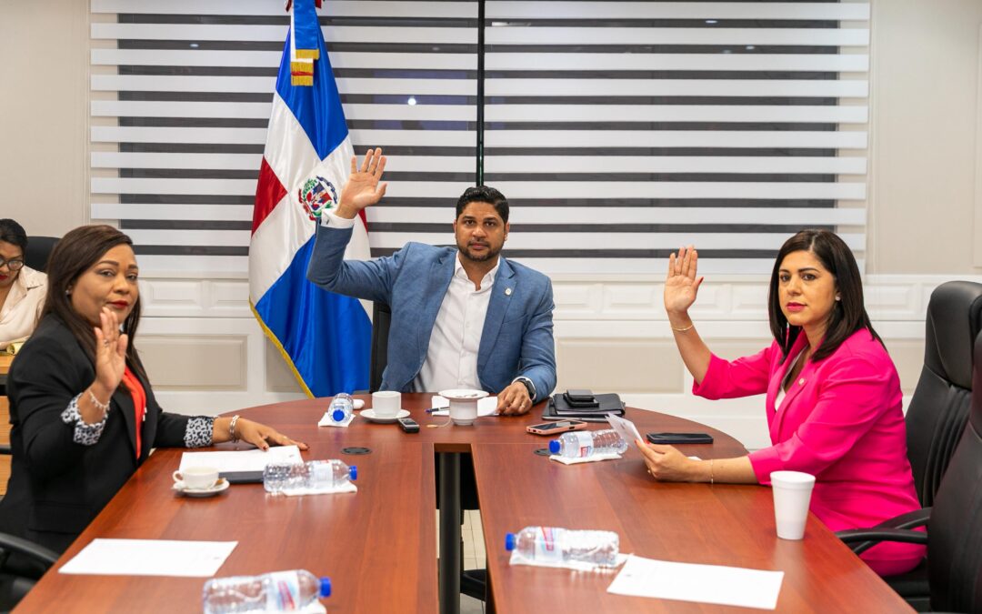 Historial de Noticias 11 Comisión de Deportes analiza resoluciones que solicitan construcción y reconstrucción de obras deportivas en comunidades de Santiago