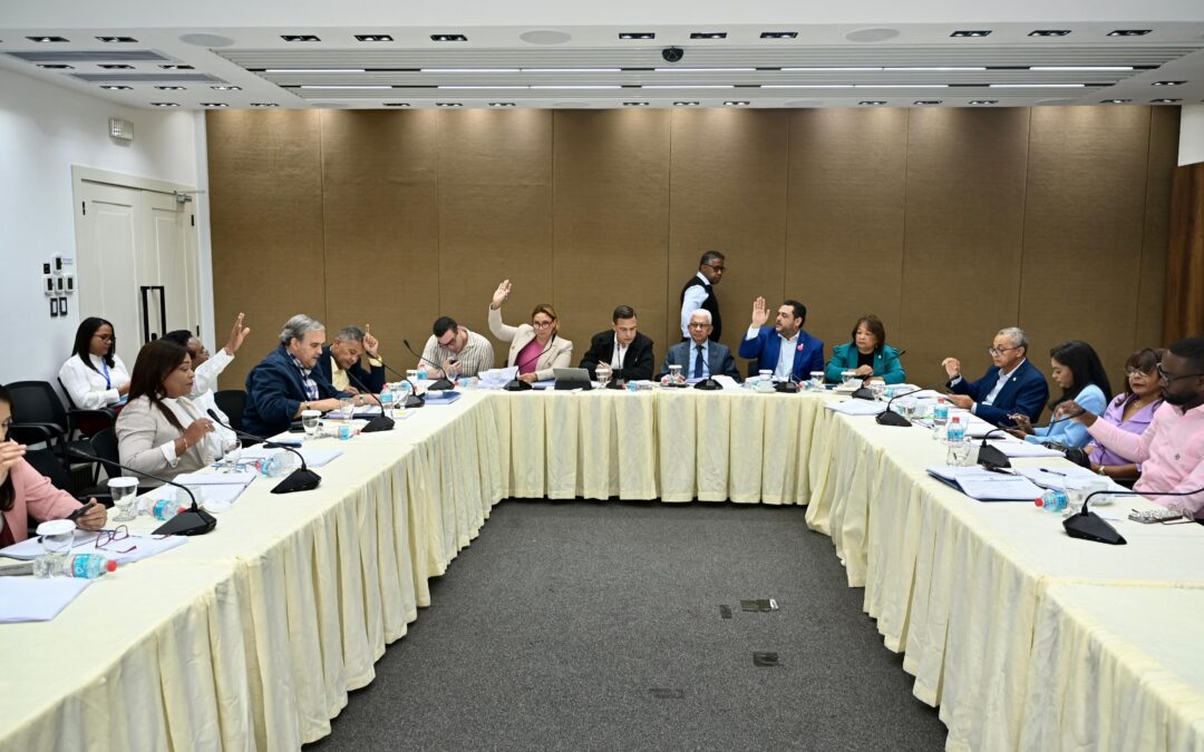 Comisión Bicameral avanza estudio proyecto de modificación Código Penal
