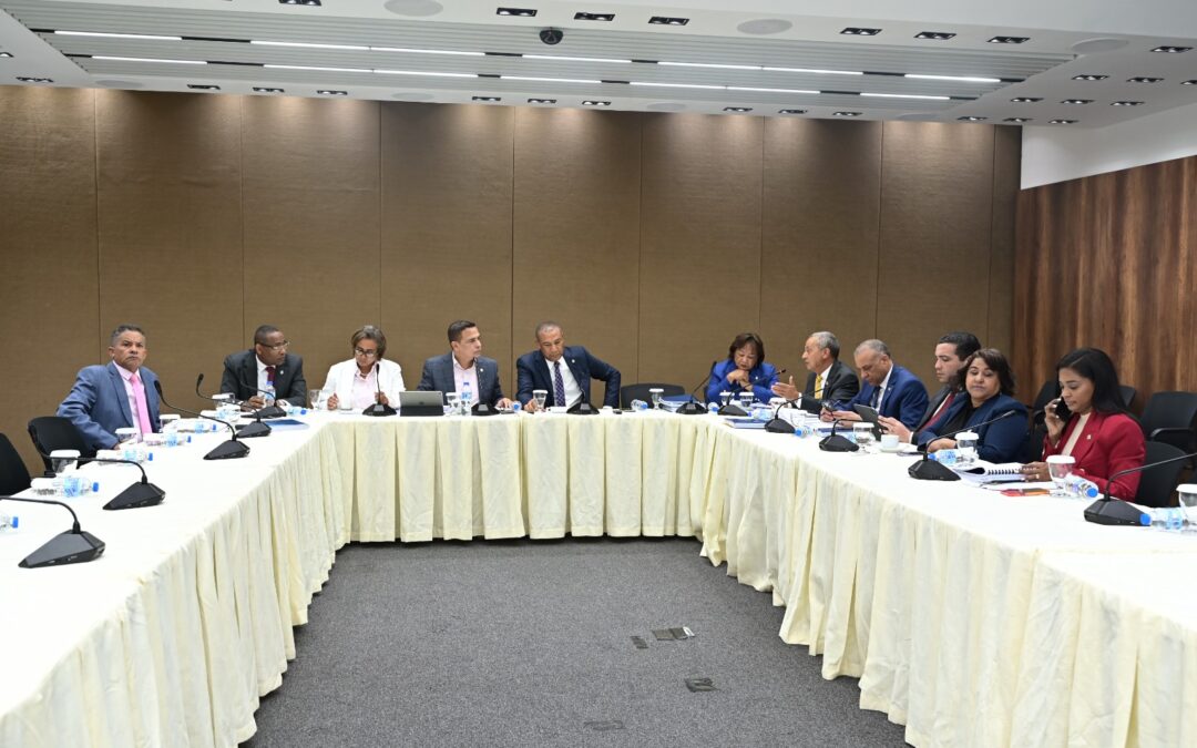 Comisión Bicameral que estudia Código Penal avanza hasta el artículo 228 de la normativa