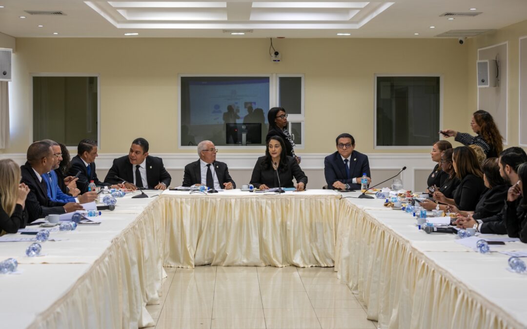 Comisión Bicameral acuerda metodología de trabajo para estudiar proyecto que modifica Ley General de Salud