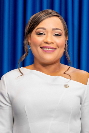Aracelis Villanueva Figueroa Aracelis Villanueva Figueroa