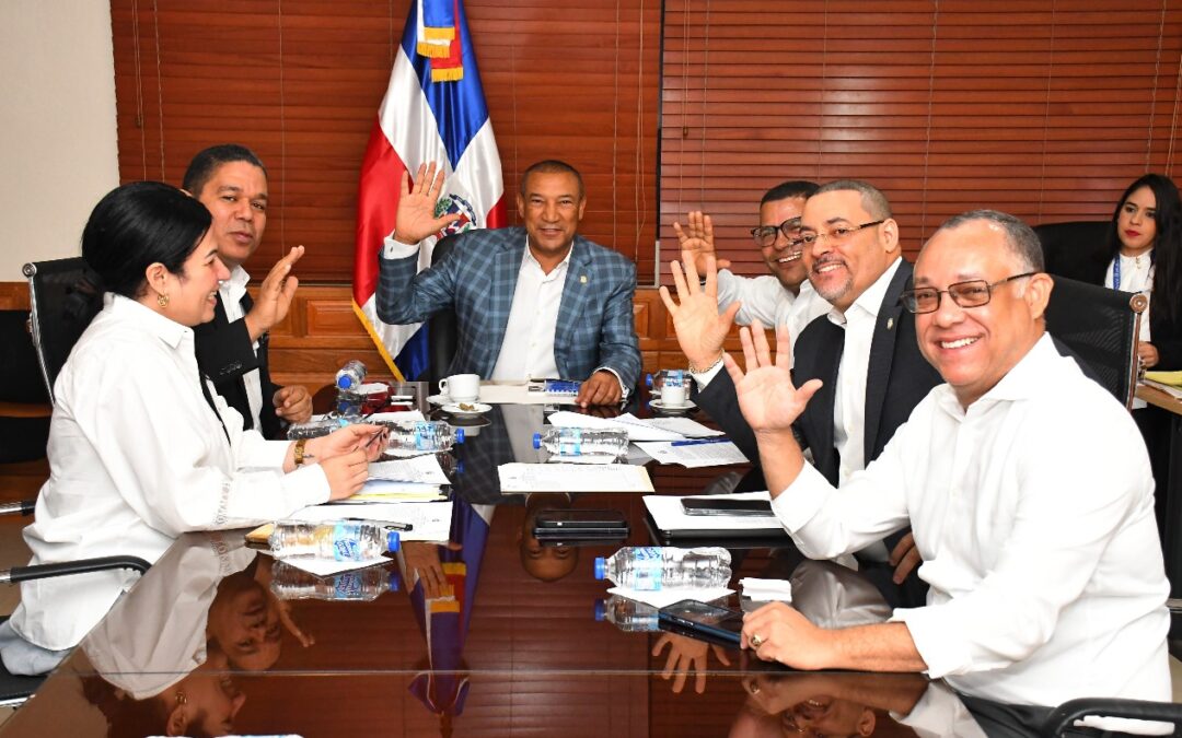 Comisión de Asuntos Energéticos favorece resolución que solicita instalación de nuevos parques eólicos en Pedernales