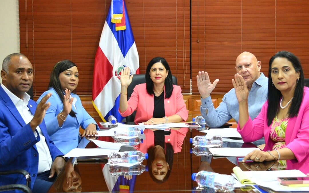 Comisión de Relaciones Exteriores y Cooperación Internacional aprueba rendir informe a importantes iniciativas