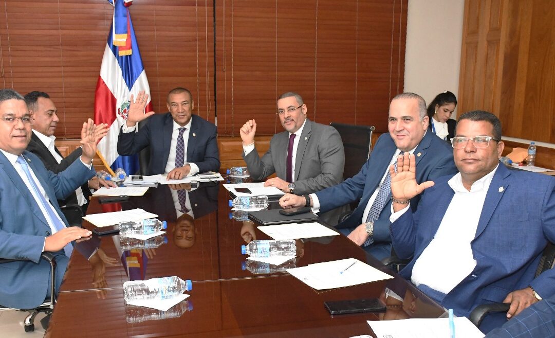 Senadores analizan proyecto de ley para sistema de energía de emergencia de los ascensores o elevadores verticales