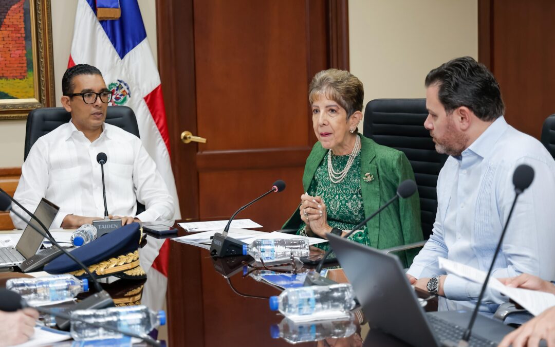 Senadores escuchan opinión de de diversos sectores sobre proyecto que dispone creación de pegatinas autóctonas para placas de vehículos