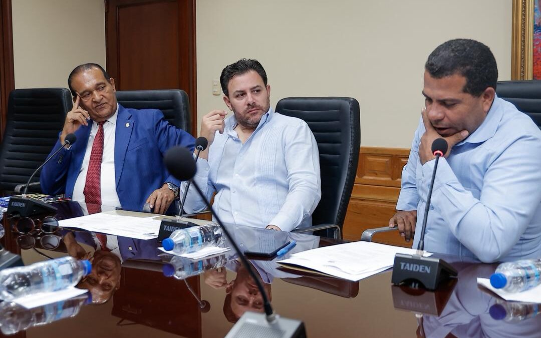 Senadores escuchan opinión de de diversos sectores sobre proyecto que dispone creación de pegatinas autóctonas para placas de vehículos