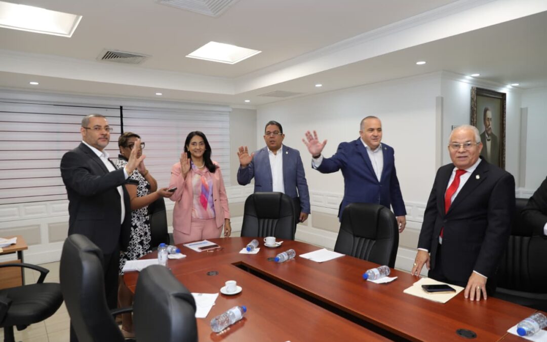 Comisión de Salud analiza proyecto que regula la pasantía médica junto a representante de la Cámara de Diputados