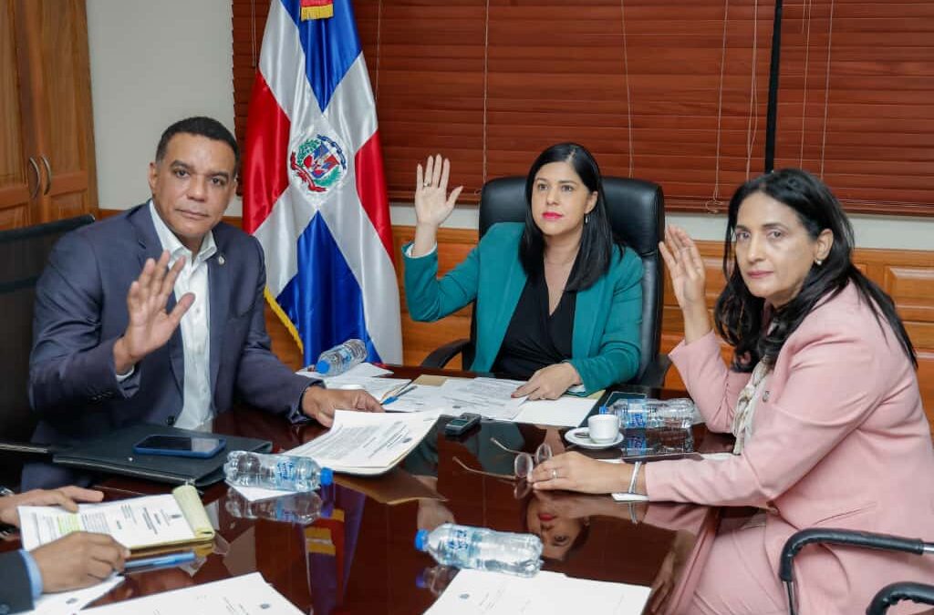 Comisión de senadores favorece resolución conforma Grupo Parlamentario de Amistad entre el Senado dominicano y el Parlamento de la República de Kenia