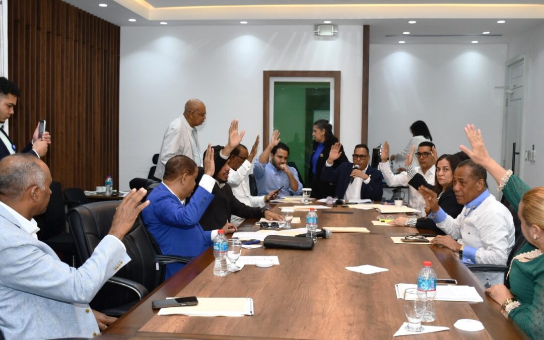 Comisión Bicameral conformada para estudiar los Actos del Poder Ejecutivo continuará análisis de la pieza en enero