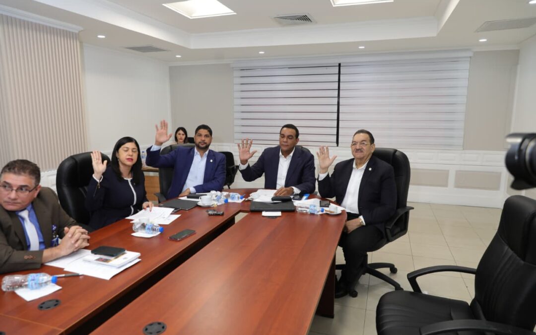 Comisión de Cultura del Senado recibe a representantes del colectivo Gestor Cultural RD y continuó con el análisis de varias iniciativas legislativas