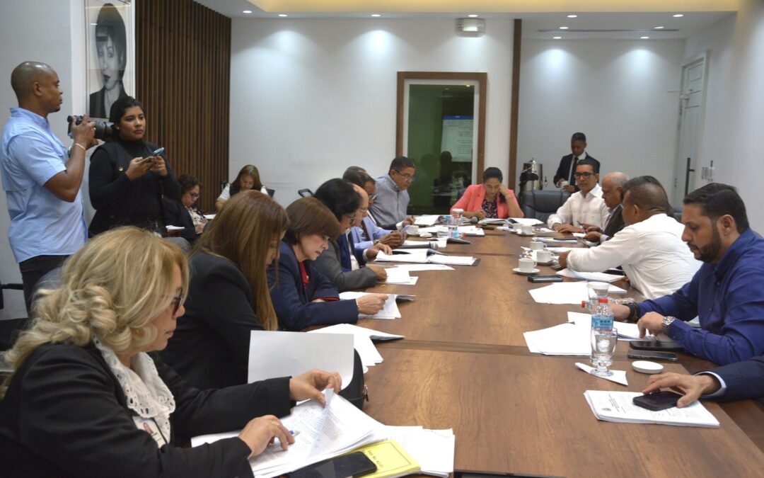 Comisión Bicameral que modifica Ley General de Salud avanza lectura de la pieza hasta el artículo 131