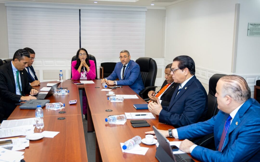 Comisión de Salud Pública analiza proyecto de ley para regulación de etiquetados en productos alimenticios