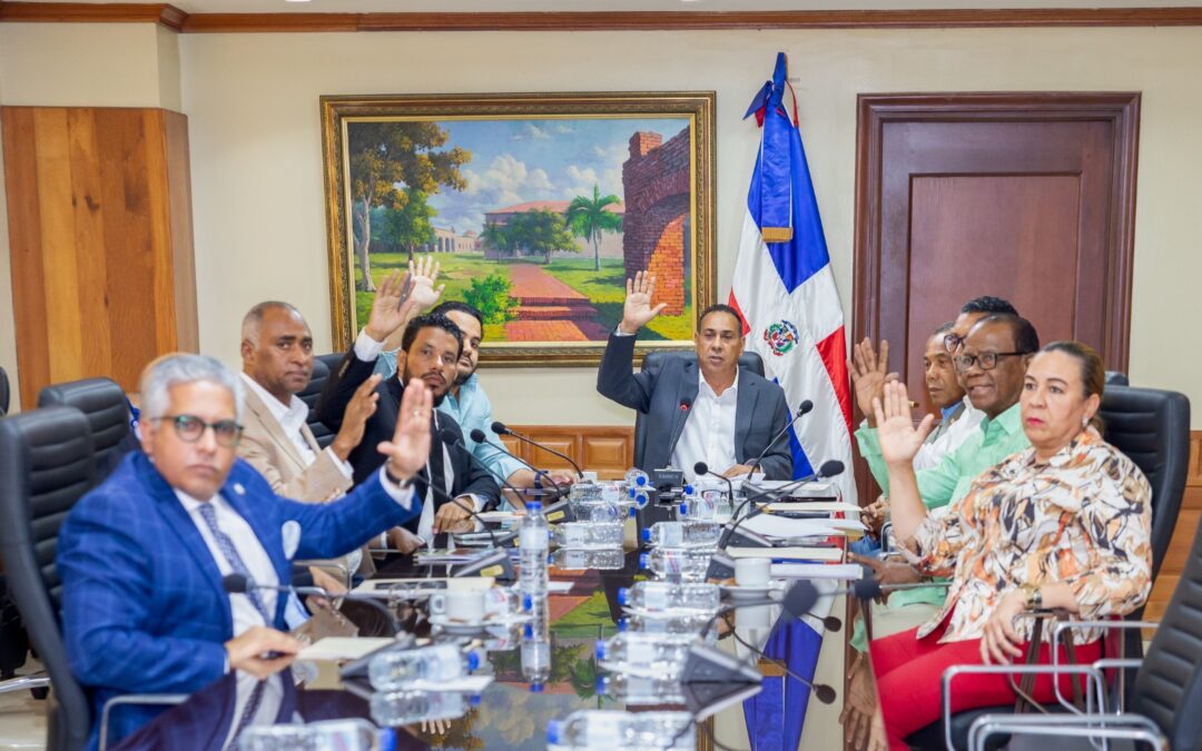 Comisión Bicameral acordó rendir informe a proyecto de ley sobre los Actos del Poder Ejecutivo