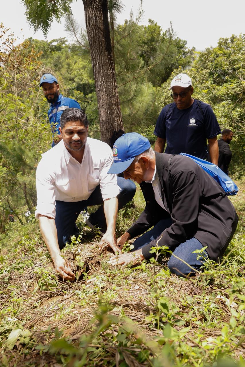 Senado realiza jornada de reforestación en la cuenca alta del río Nizao y establece su segundo bosque institucional 3 IMG 20260626 WA0122