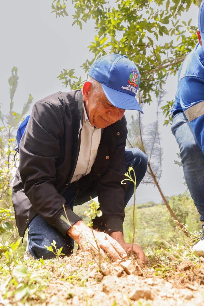 Senado realiza jornada de reforestación en la cuenca alta del río Nizao y establece su segundo bosque institucional 4 IMG 20260626 WA0125