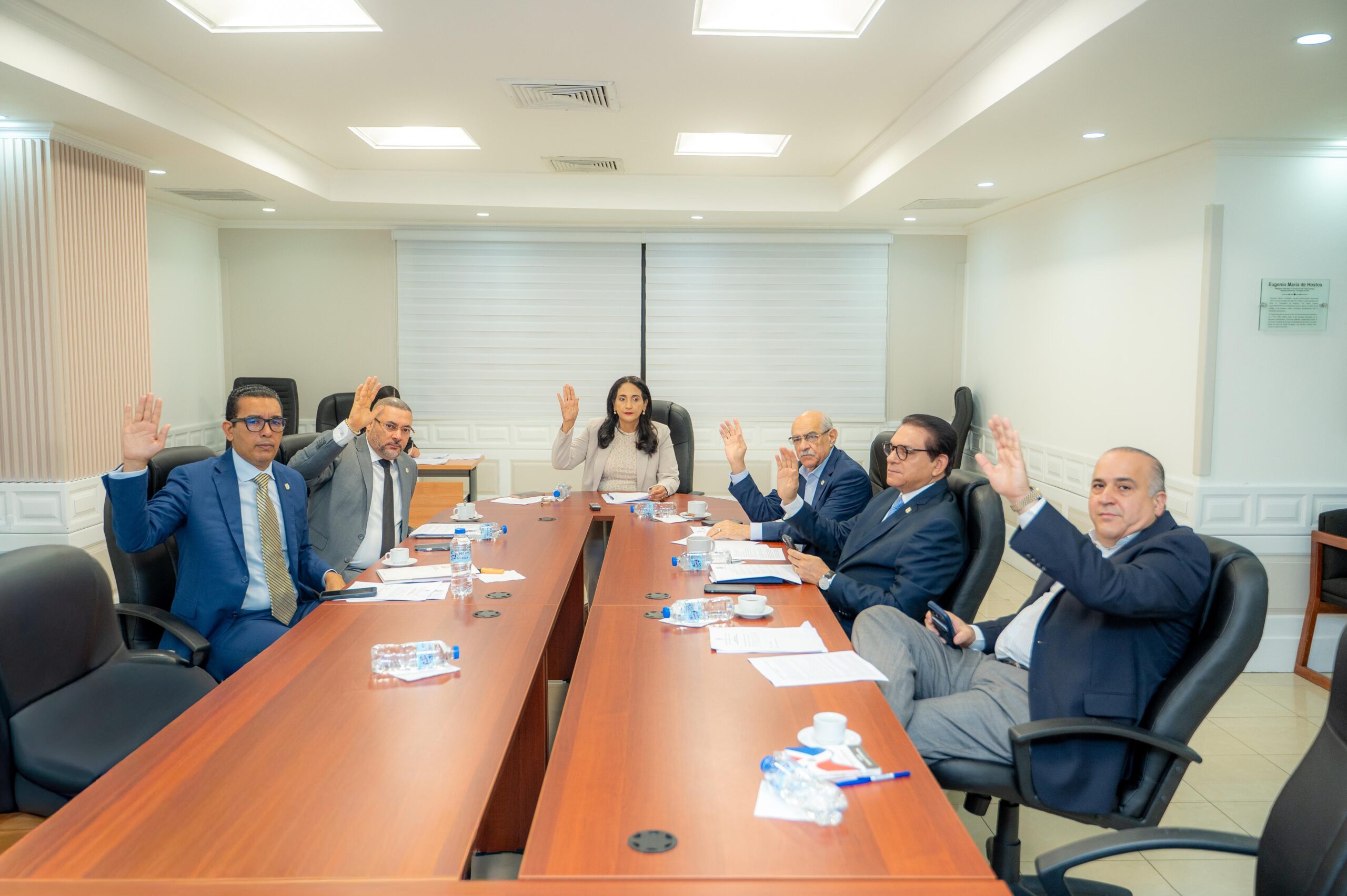 Comisión de Salud Pública favorece resolución que reconoce a Jaime Francisco Sued Pichardo