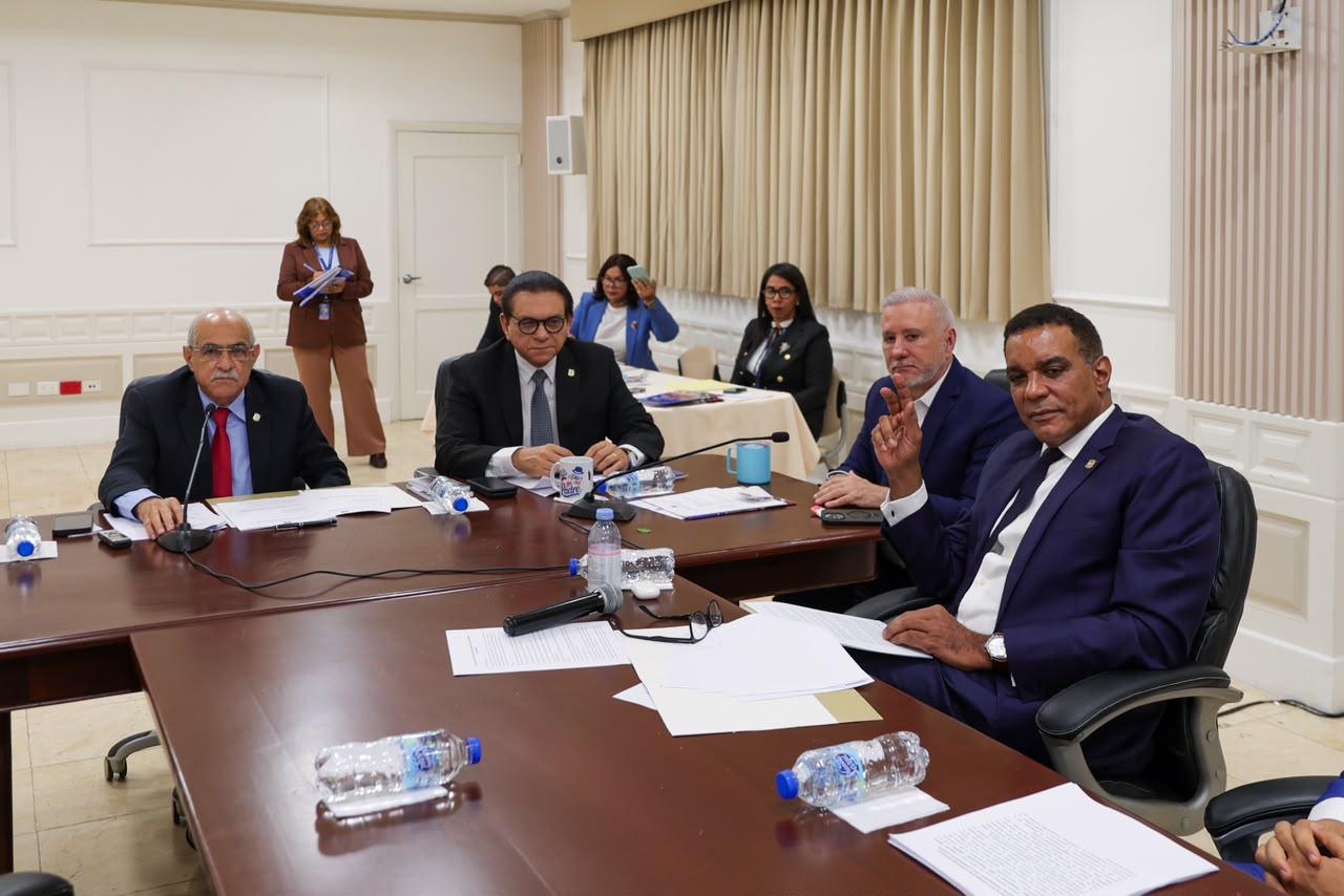 Comisión Especial estudia modificación a la Ley Orgánica de la Dirección General de Integridad, Transparencia y Ética Gubernamental